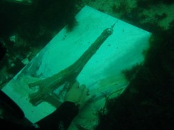 Подводная живопись. Фотография 45