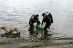 Очистка Киевского моря 2011. Фотография 8