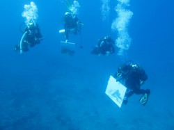 Подводная живопись. Фотография 23