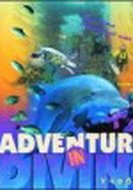 Adventures in diving
